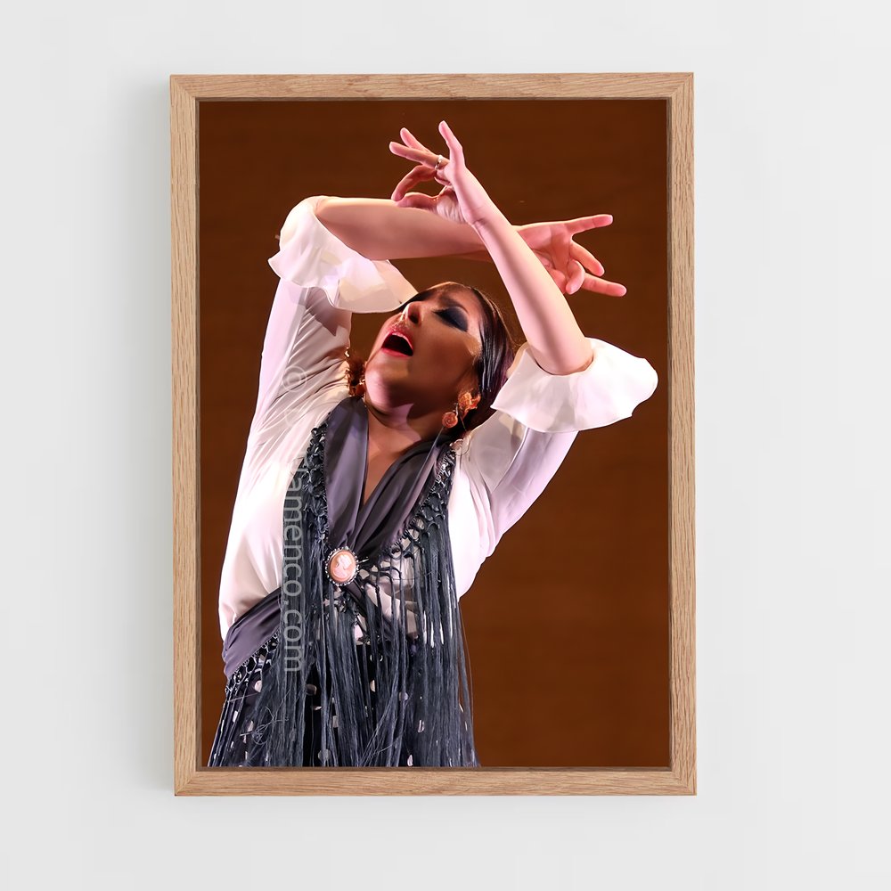 Poster Suma flamenca – affiche Danse (vue 4)